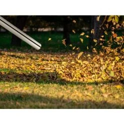 MONZANA Aspirateur Eau Et Poussière En Acier Inoxydable Avec Accessoires 1800W Capacité 30L Aspirateur Multifonction -Aspirateur et sac Soldes 18476350 3